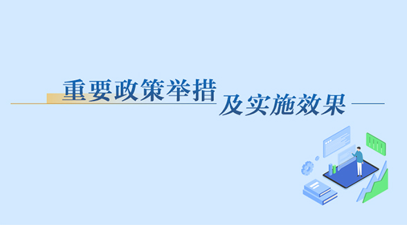 重要政策举措及实施效果